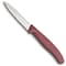 Swiss Army Brands 2022 Victorinox Swiss Classic Paring Knife Set - Fresh Energy VIC-6.7116.L20 - alternate 3